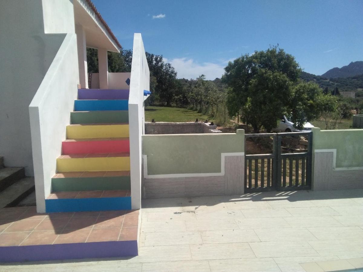 B&B Daillu Ольбія Екстер'єр фото